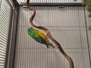 Fundtier Tier-ID 39141