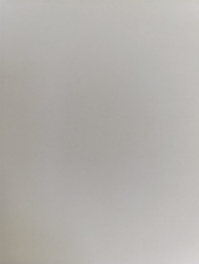 Europäische Hauskatze