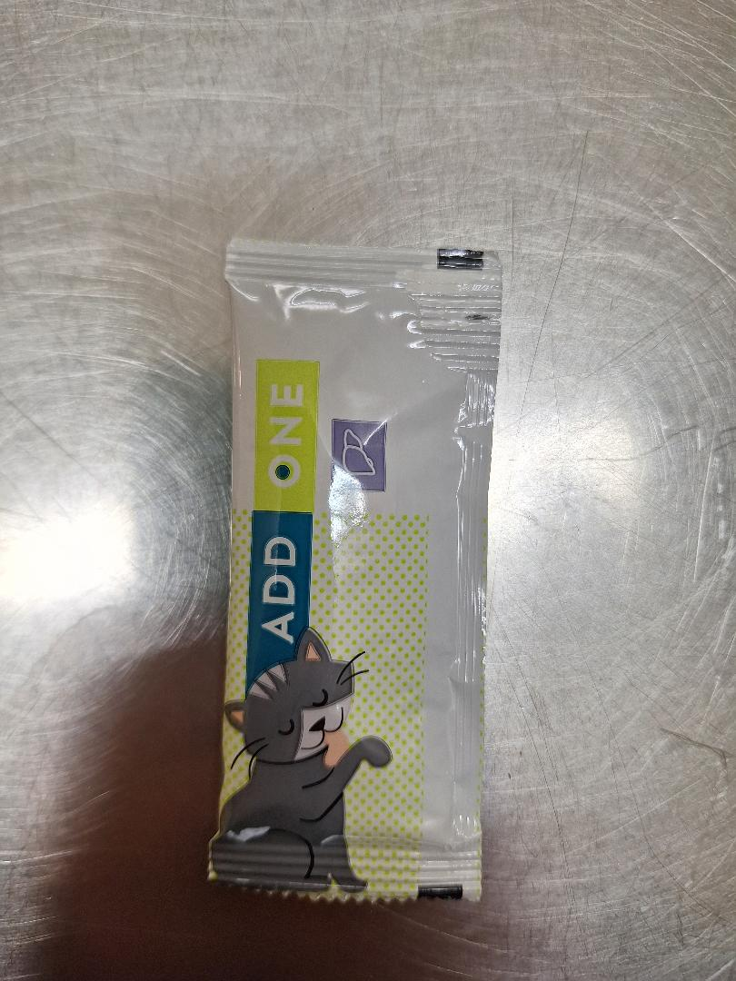 Europäische Hauskatze