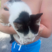 Fundtier Tier-ID 34803