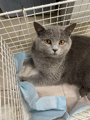 Fundtier Tier-ID 39776