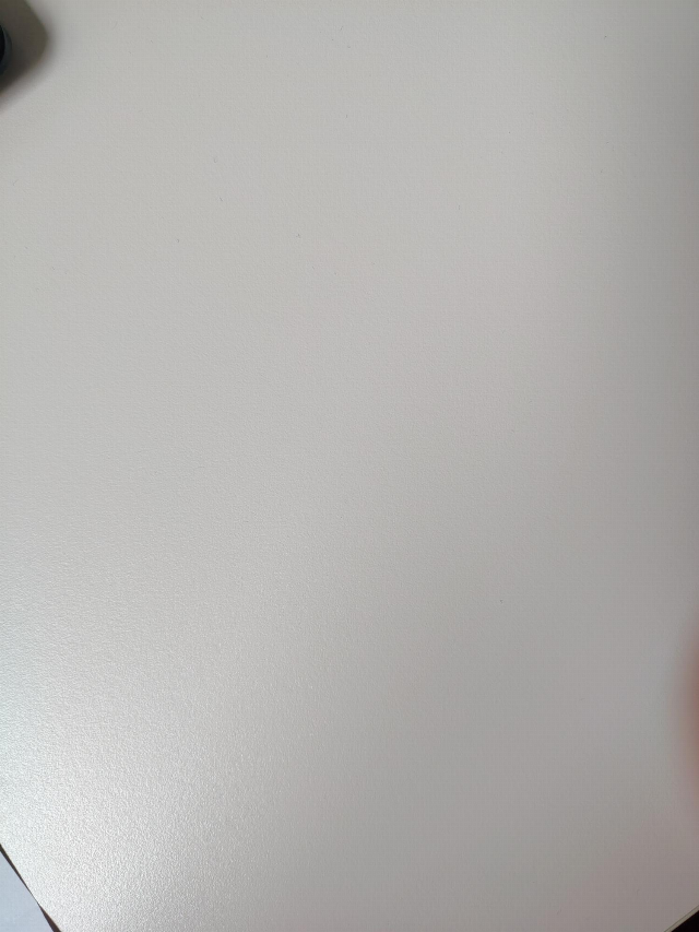 Europäische Hauskatze