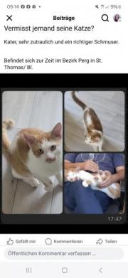 Fundtier Tier-ID 38398