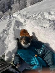 Fundtier Tier-ID 38895