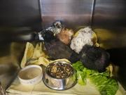 Fundtier Tier-ID 35963