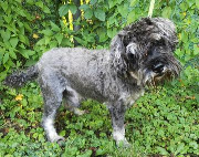 Fundtier Tier-ID 25803