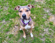 Fundtier Tier-ID 39548