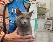 Fundtier Tier-ID 39449