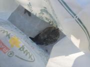 Fundtier Tier-ID 23260