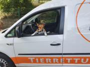 Fundtier Tier-ID 22448