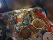 Fundtier Tier-ID 29130