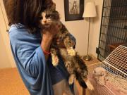 Fundtier Tier-ID 39877