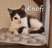 Fundtier Tier-ID 33426