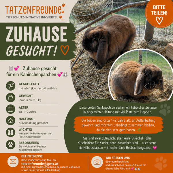 Kaninchen