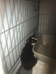 Fundtier Tier-ID 30148