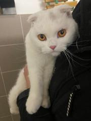 Fundtier Tier-ID 39933